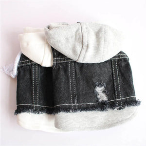 Fashion Denim Pet Hoodie Jacket