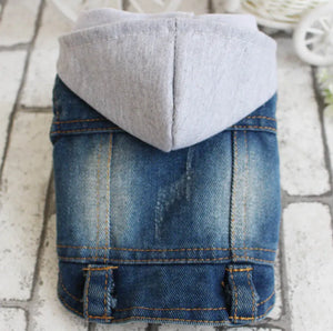 Fashion Denim Pet Hoodie Jacket