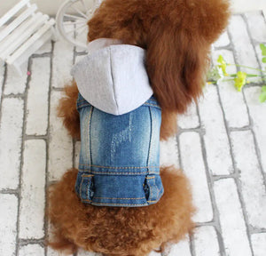 Fashion Denim Pet Hoodie Jacket