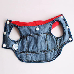 Fashion Denim Pet Hoodie Jacket