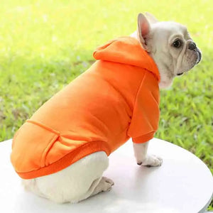 Colored Doggy Sweatshirts