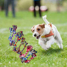 Load image into Gallery viewer, Dog Rope Outdoor Tug of War Toy