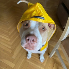 Load image into Gallery viewer, Outdoors Dog Raincoat Poncho