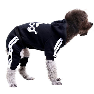 Dog Cozy Sport Hoodie