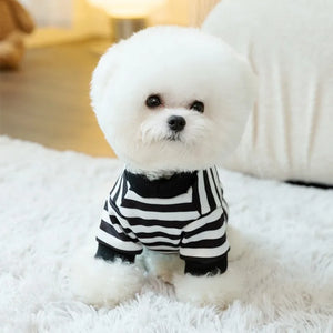 Cute Dog Outfit