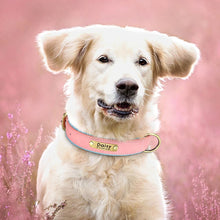 Load image into Gallery viewer, Personalized Leather Dog Collars