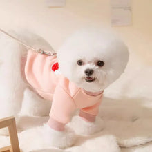 Load image into Gallery viewer, Cute Dog Outfit