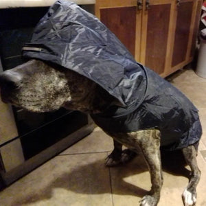 Outdoors Dog Raincoat Poncho