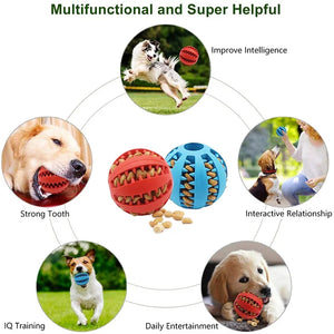 Dogs Interactive Elastic Chew Balls