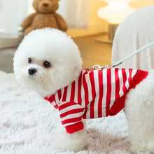 Load image into Gallery viewer, Cute Dog Outfit