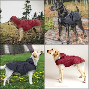 Outdoors Dog Raincoat Poncho