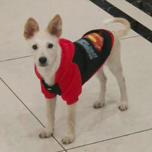 Load image into Gallery viewer, Spring Autumn Pet Cartoon Hoodie