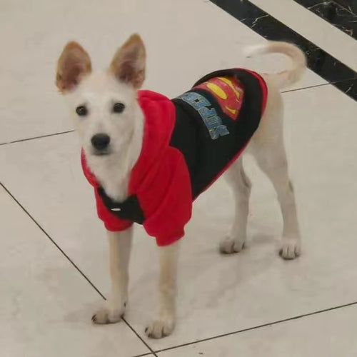 Spring Autumn Pet Cartoon Hoodie