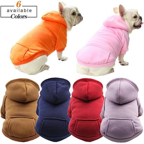 Colored Doggy Sweatshirts