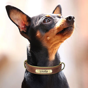 Personalized Leather Dog Collars