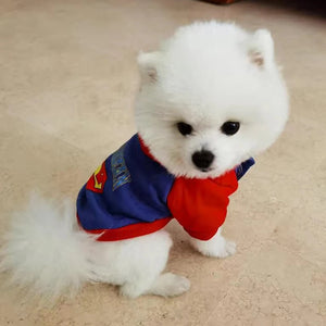 Spring Autumn Pet Cartoon Hoodie