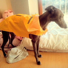 Load image into Gallery viewer, Outdoors Dog Raincoat Poncho