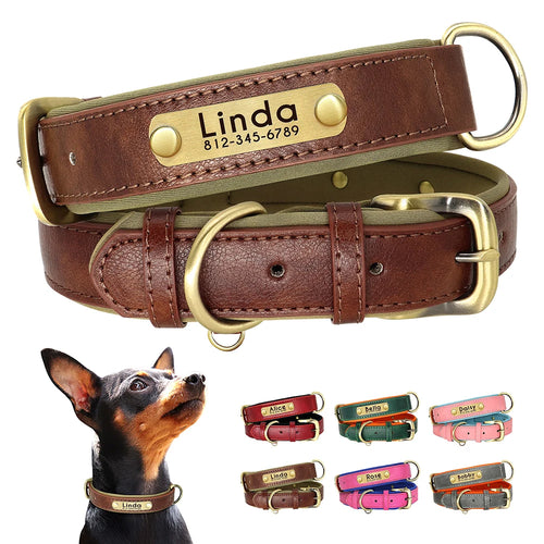 Personalized Leather Dog Collars