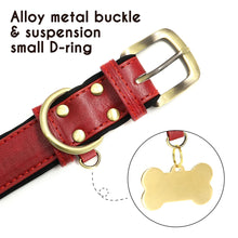 Load image into Gallery viewer, Personalized Leather Dog Collars