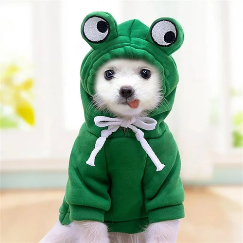 Cute Frog Shape Dog Costume