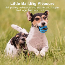 Load image into Gallery viewer, Dogs Interactive Elastic Chew Balls