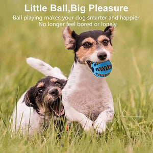 Dogs Interactive Elastic Chew Balls