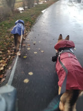 Load image into Gallery viewer, Outdoors Dog Raincoat Poncho