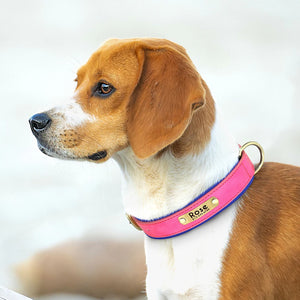 Personalized Leather Dog Collars