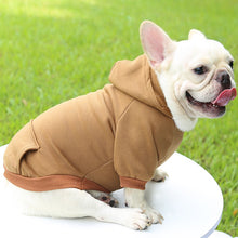 Load image into Gallery viewer, Colored Doggy Sweatshirts