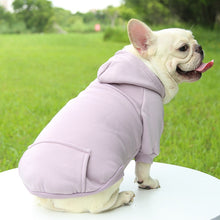 Load image into Gallery viewer, Colored Doggy Sweatshirts