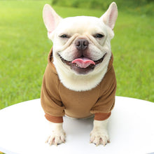 Load image into Gallery viewer, Colored Doggy Sweatshirts