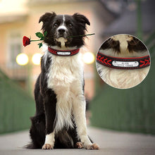 Load image into Gallery viewer, Adjustable Padded Leather Collar