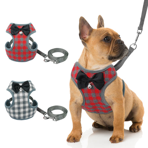 Harness With Mesh Padded Vest