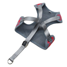 Load image into Gallery viewer, Harness With Mesh Padded Vest