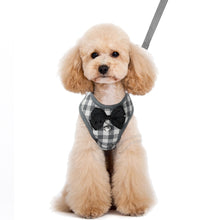 Load image into Gallery viewer, Harness With Mesh Padded Vest