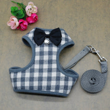 Load image into Gallery viewer, Harness With Mesh Padded Vest