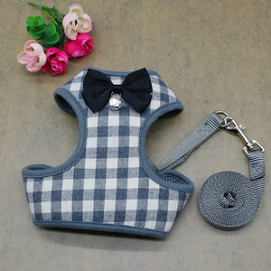 Harness With Mesh Padded Vest