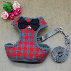Harness With Mesh Padded Vest