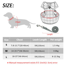Load image into Gallery viewer, Harness With Mesh Padded Vest