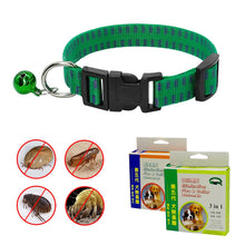 Load image into Gallery viewer, Safety Dog Collar