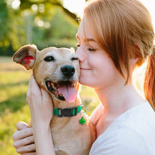 Load image into Gallery viewer, Safety Dog Collar