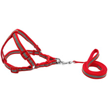 Load image into Gallery viewer, Nylon Reflective Dog Harness