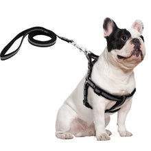 Load image into Gallery viewer, Nylon Reflective Dog Harness