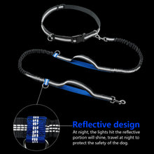 Load image into Gallery viewer, Retractable Hands Free Dog Leash