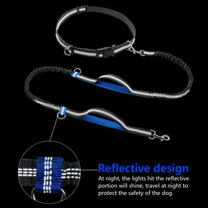 Retractable Hands Free Dog Leash