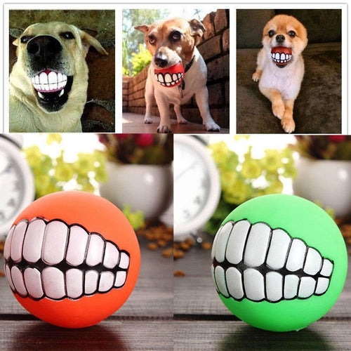 Funny Dog Teeth Toy
