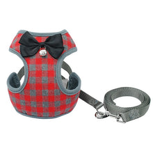 Load image into Gallery viewer, Harness With Mesh Padded Vest