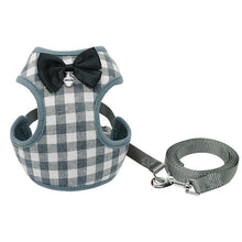 Load image into Gallery viewer, Harness With Mesh Padded Vest