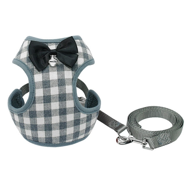 Harness With Mesh Padded Vest