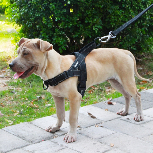 Adjustable Reflective Training Leash